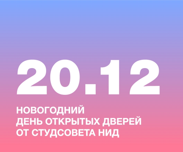 Новогодний День открытых дверей от студсовета НИД