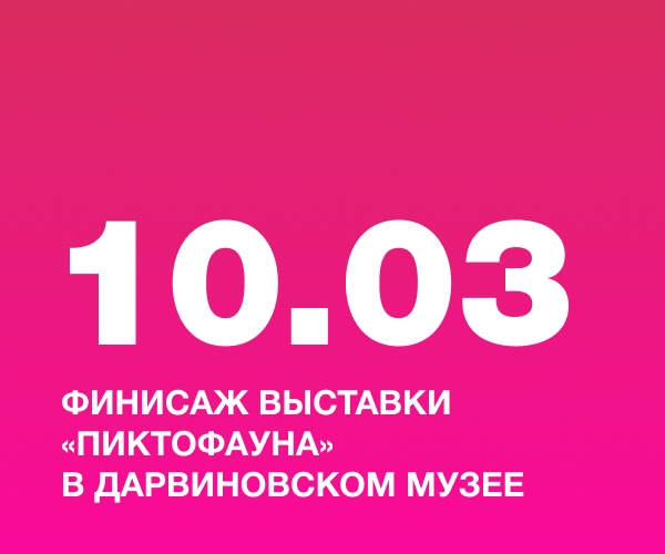 Финисаж выставки «Пиктофауна» в Дарвиновском музее